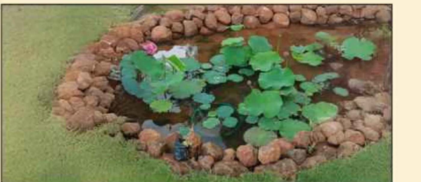 Gravity Smera Gardens Mystic Lagoon pond ecosystem ringed in laterite stone
